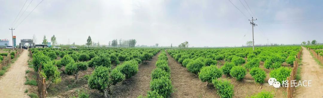 植保无人机比赛场地